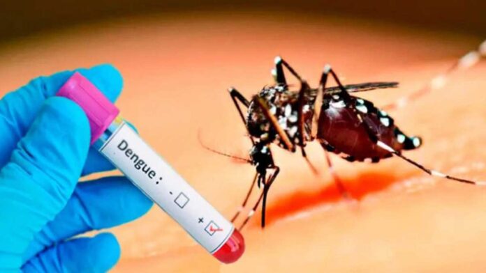 61 dengue cases reported in Pakistan in 24 hours