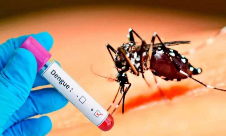 61 dengue cases reported in Pakistan in 24 hours