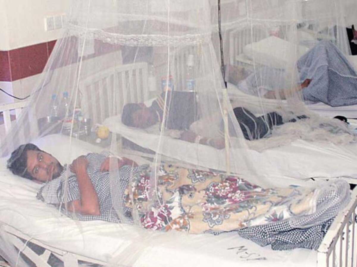 61 dengue cases reported in Pakistan in 24 hours