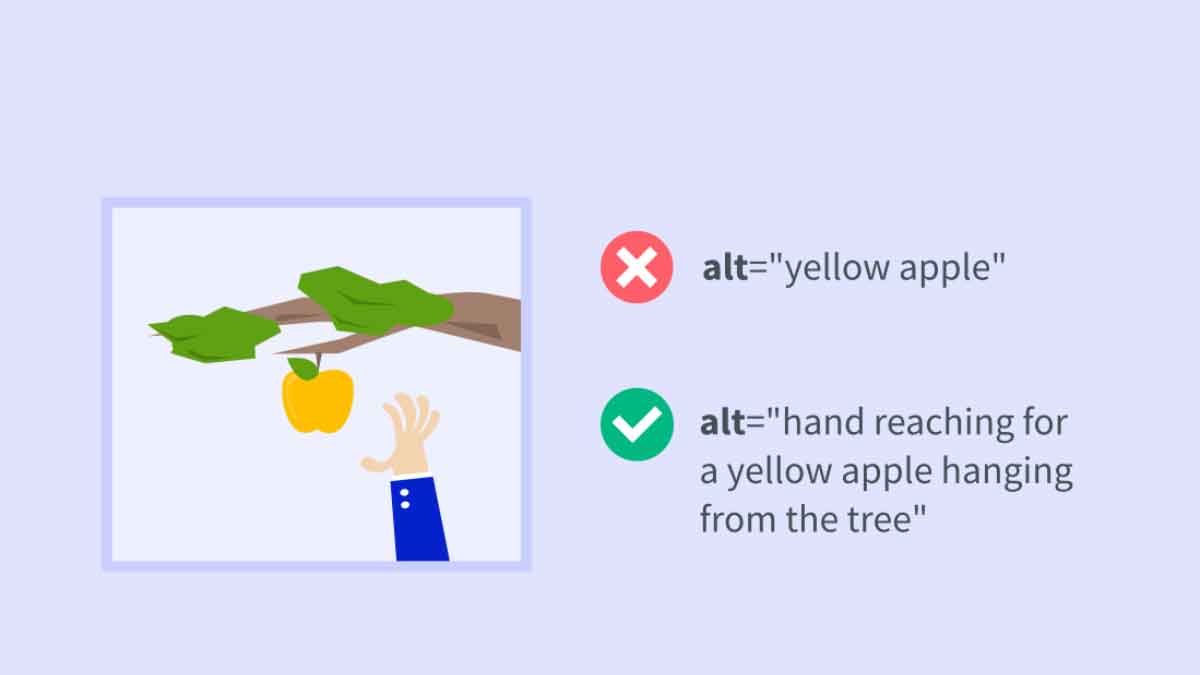 Alt Text What It Is and How to Write It
