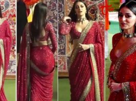 Ananya Pandey spread magic in designer saree and bright lipstick!