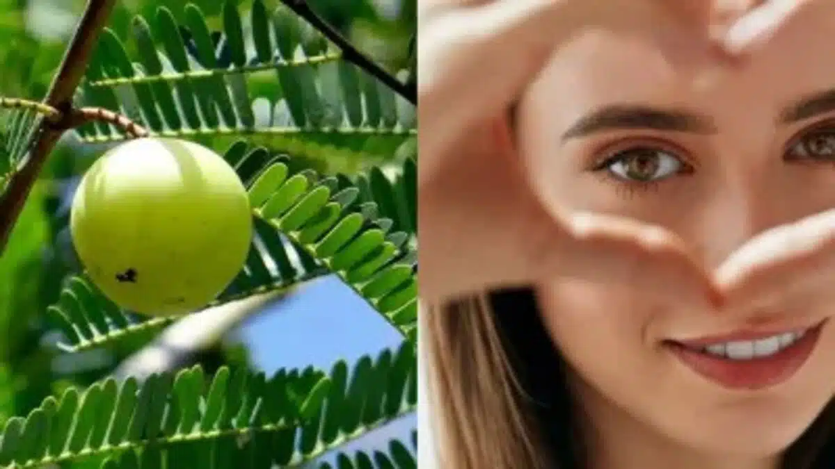 Benefits of drinking Amla juice on an empty stomach for 30 days