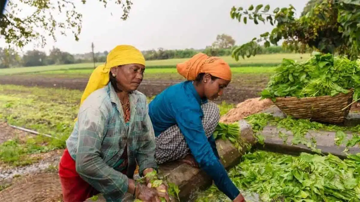 Chhattisgarh Lakhpati Didi Yojana has changed the lives of women in Surguja