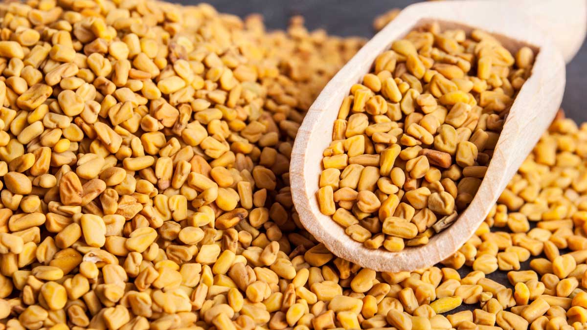 Drink Fenugreek Water every morning on an empty stomach and lose weight!