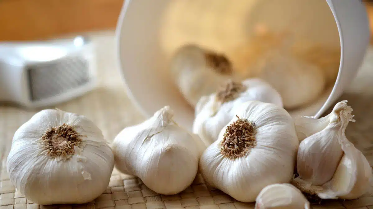 Easy ways to keep garlic fresh for a long time 2