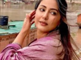 Hina Khan shows love for Kashmir in her battle against cancer