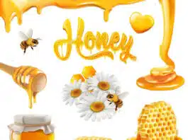 Honey: Nature's sweet nectar