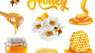Honey: Nature's sweet nectar