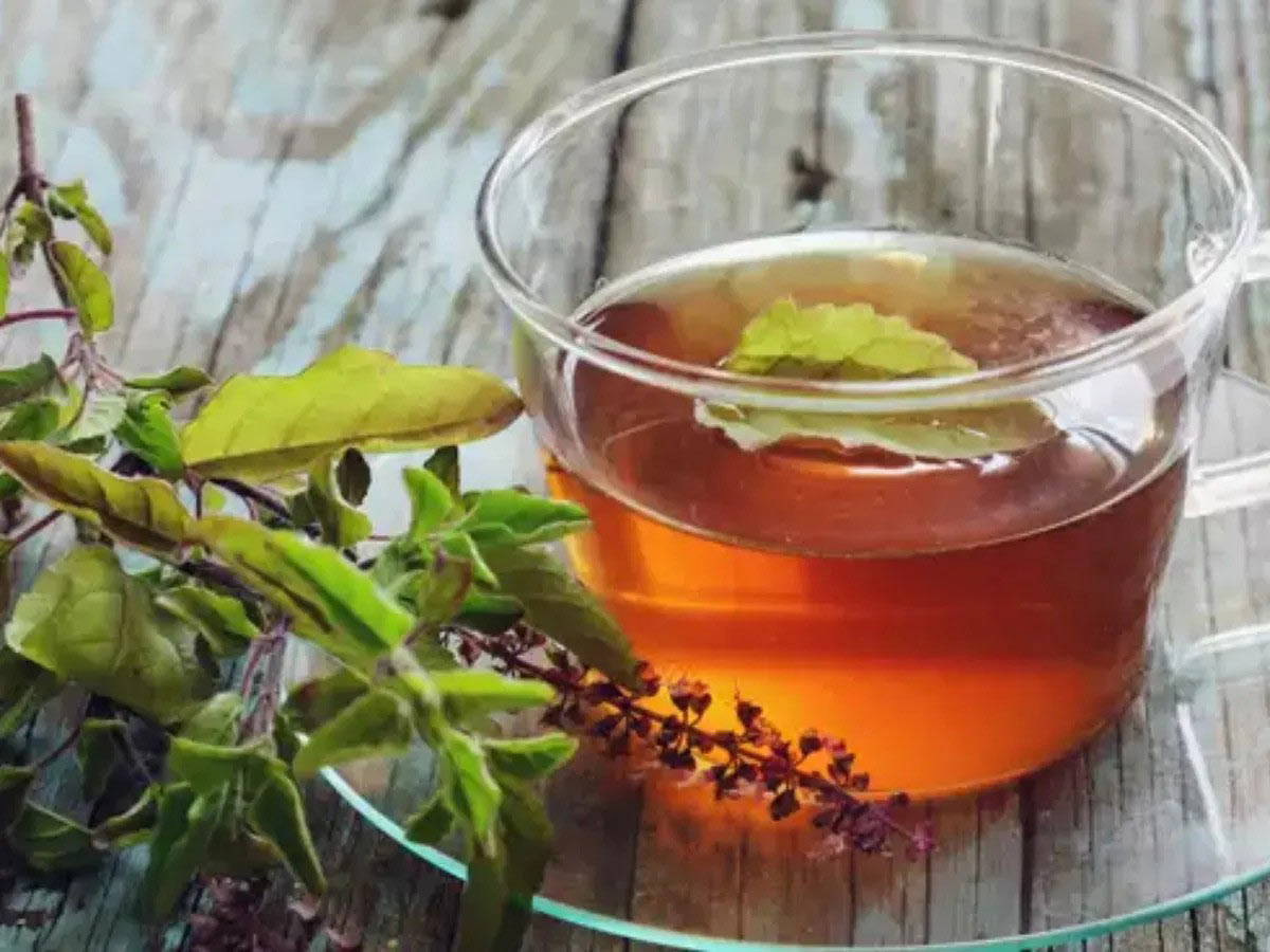 Increase your immunity with Tulsi, its 4 beneficial factors