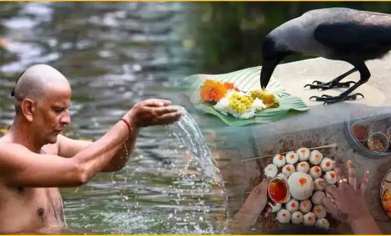 Learn special ways to please your ancestors during Pitru Paksha!