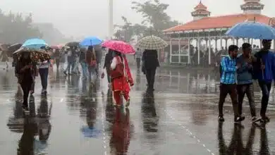 Light to moderate rain in Himachal Pradesh