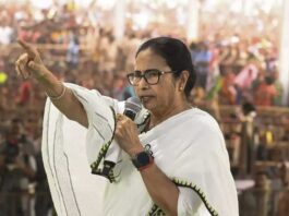 Mamata Banerjee's visit to Siliguri Preparation for administrative meeting!