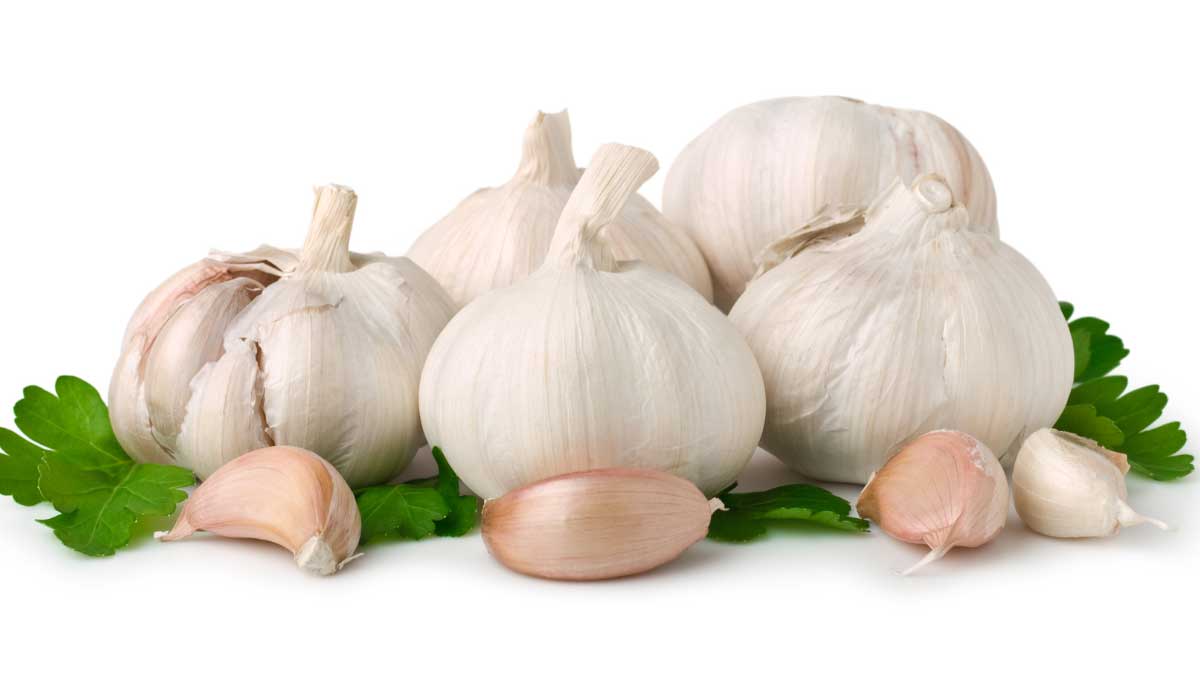 Nahar Muh Garlic Water Know Countless Benefits For Weight Loss!