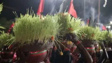 Navratri 2024 Do this while sowing barley, get happiness and prosperity!