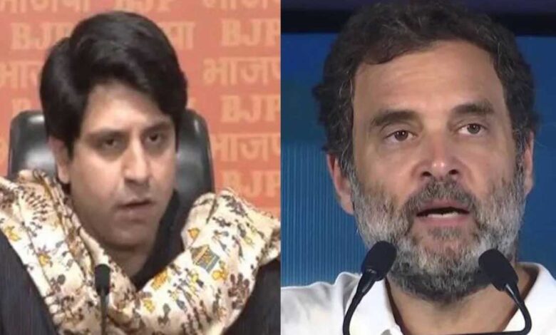 On Rahul Gandhi's comment on reservation BJP said It reflects his political and family DNA