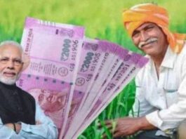 PM Kisan Yojana Do this important work before comes into account For Next Installment