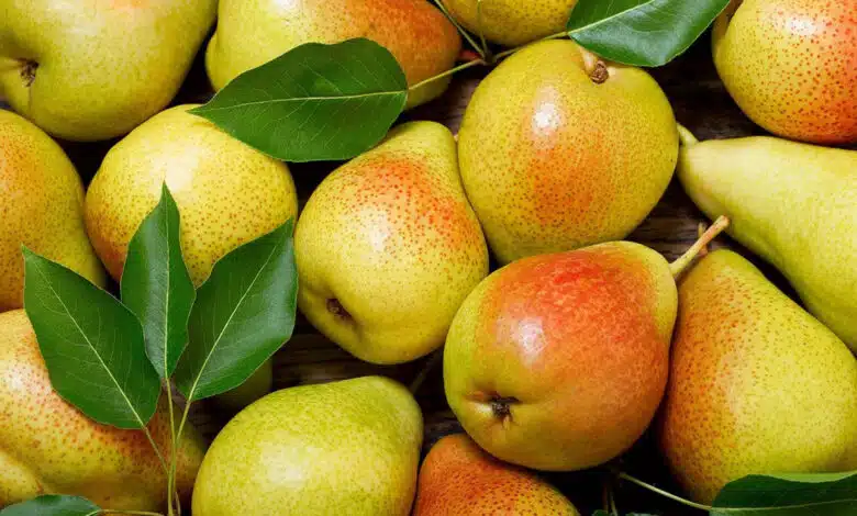Pears are beneficial for stomach health 5 reasons to include pears in your daily diet