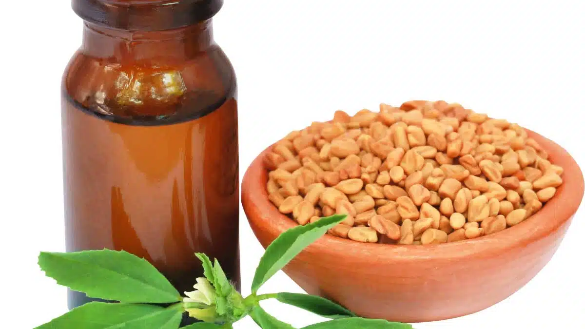 Stop Hair Fall in 2 weeks: Benefits of fenugreek-curry oil