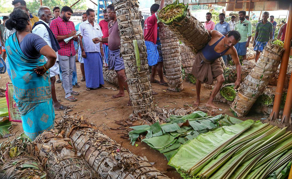 Tamil Nadu markets witness huge crowds on Ganesh Chaturthi