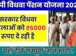 UP Vidhwa Pension Yojana 2024: Get ₹500 to ₹6000 assistance every month!