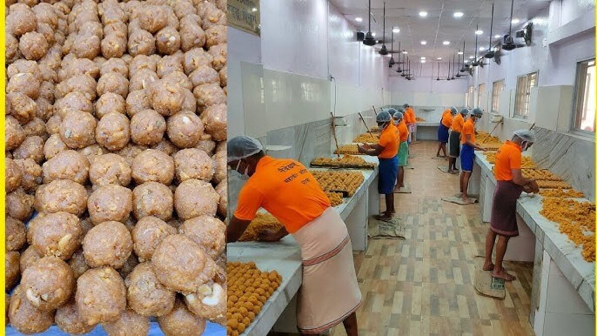 Use of animal fat in Tirupati Temple's Laddu Prasadam