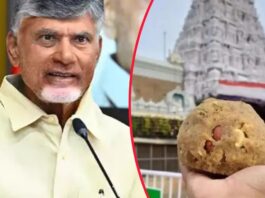 Use of animal fat in Tirupati Temple's Laddu Prasadam