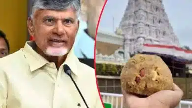 Use of animal fat in Tirupati Temple's Laddu Prasadam