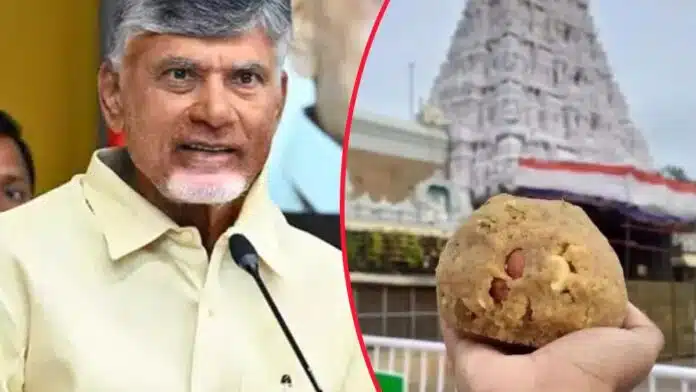 Use of animal fat in Tirupati Temple's Laddu Prasadam