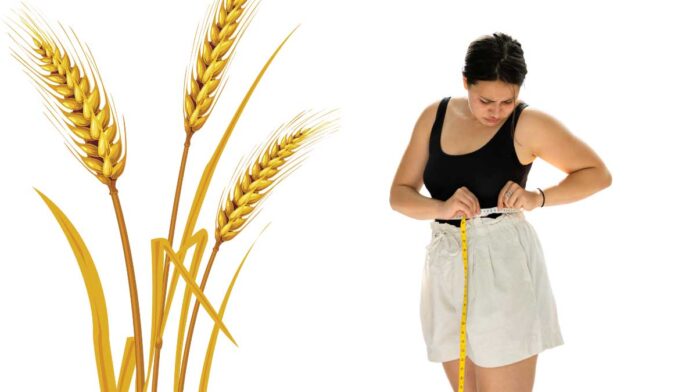 Wheat can cause weight gain: eat in moderation.