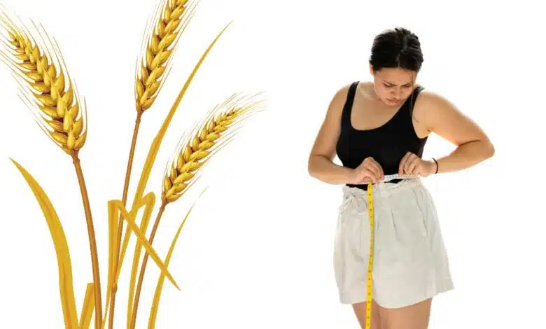 Wheat can cause weight gain: eat in moderation.