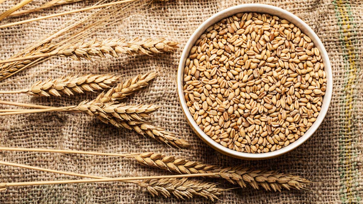 Wheat can cause weight gain: eat in moderation.