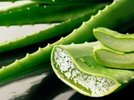 When should Aloe Vera gel not be applied on the face