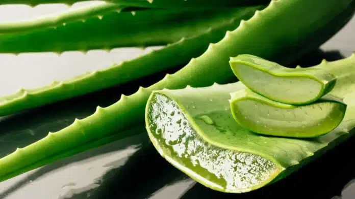 When should Aloe Vera gel not be applied on the face