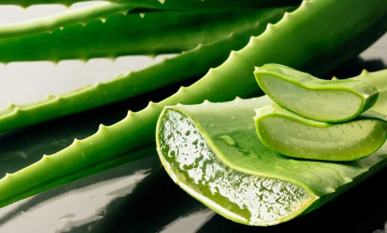 When should Aloe Vera gel not be applied on the face