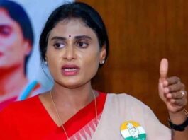 YS Sharmila said On Tirupati Prasad controversy