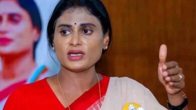 YS Sharmila said On Tirupati Prasad controversy