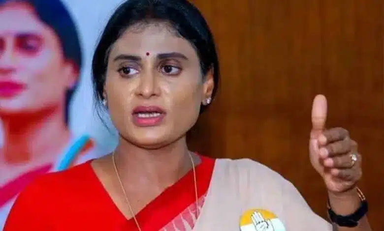YS Sharmila said On Tirupati Prasad controversy