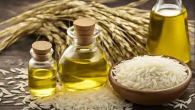 5 Amazing Benefits of Rice Bran Oil for Your Skin and Hair