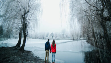 Ooty to Kodaikanal: 5 Best Places to Visit in South India During Winters