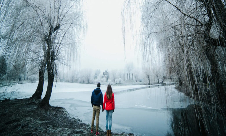 Ooty to Kodaikanal: 5 Best Places to Visit in South India During Winters