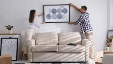 According to Vastu which 10 pictures should be placed in the house