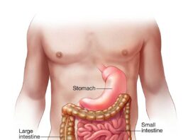 What is Acute gastroenteritis? Know causes symptoms prevention