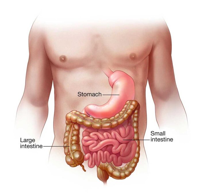 What is Acute gastroenteritis? Know causes symptoms prevention