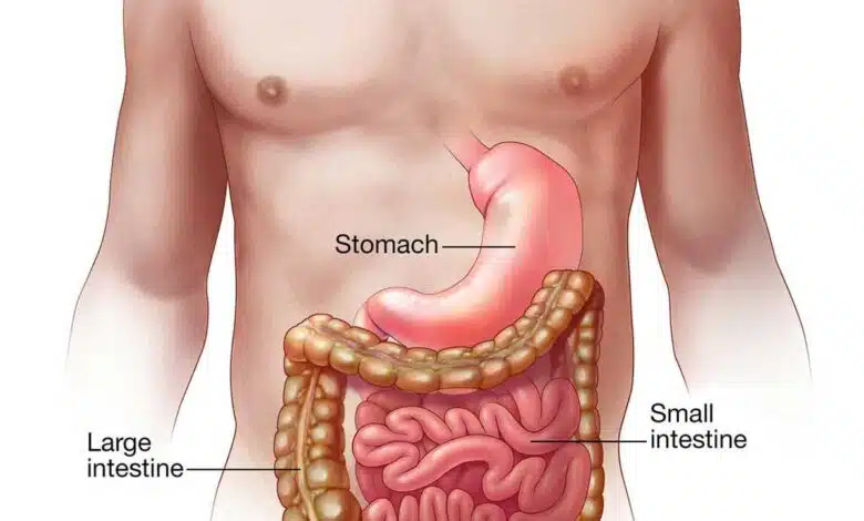 What is Acute gastroenteritis? Know causes symptoms prevention