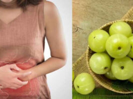 Amla: Health Benefits and Amazing Advantages of Consuming It