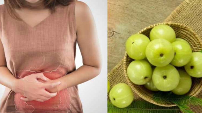 Amla: Health Benefits and Amazing Advantages of Consuming It