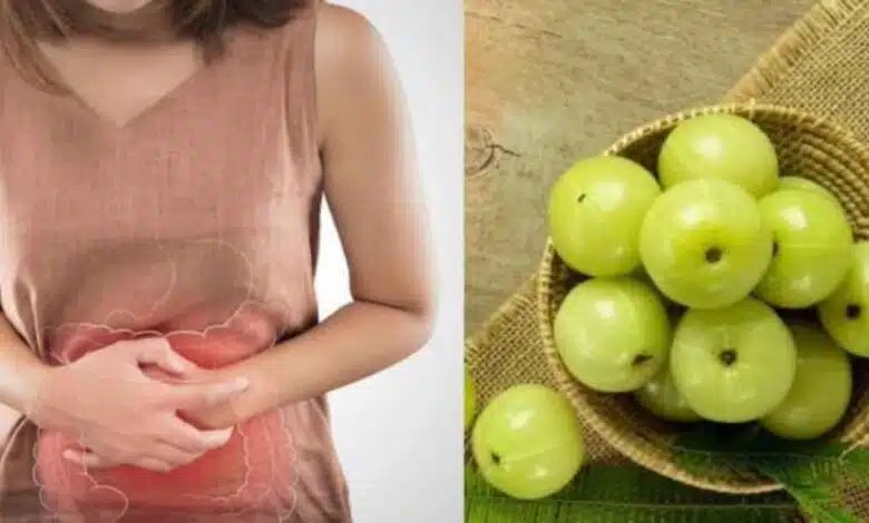 Amla: Health Benefits and Amazing Advantages of Consuming It