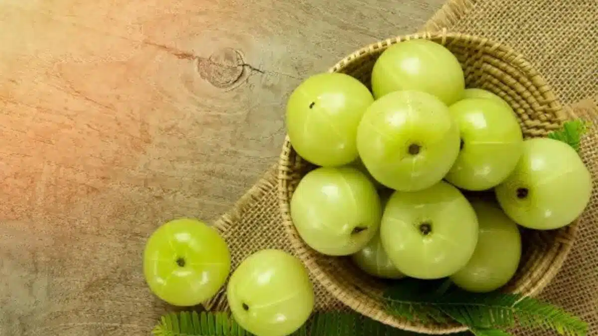 Amla the health-promoting versatile fruit