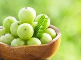 Amla the health-promoting versatile fruit