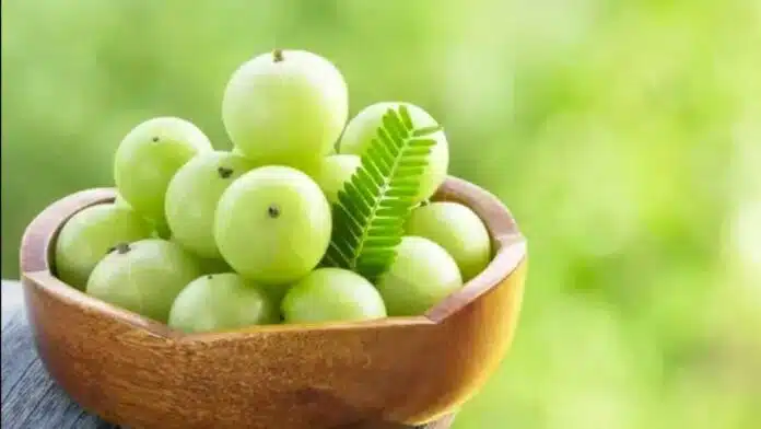 Amla the health-promoting versatile fruit